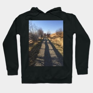 Parallel Pathways Hoodie